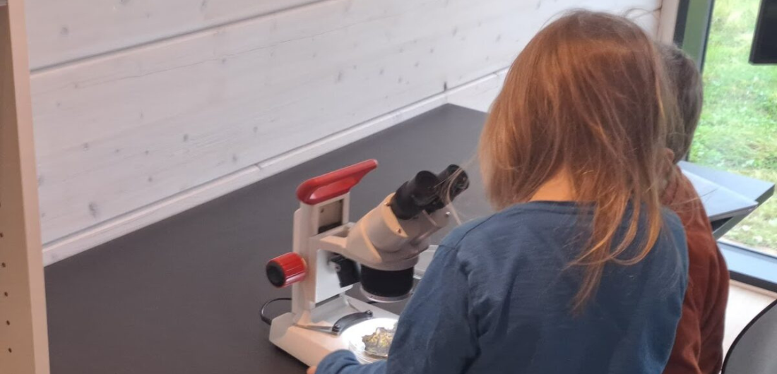 Lapset tutkivat mikroskoopilla.