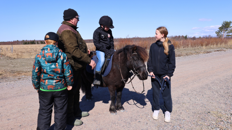Pippuri-ponilla pääsi ratsastamaan Kotirannan karnevaaleilla.