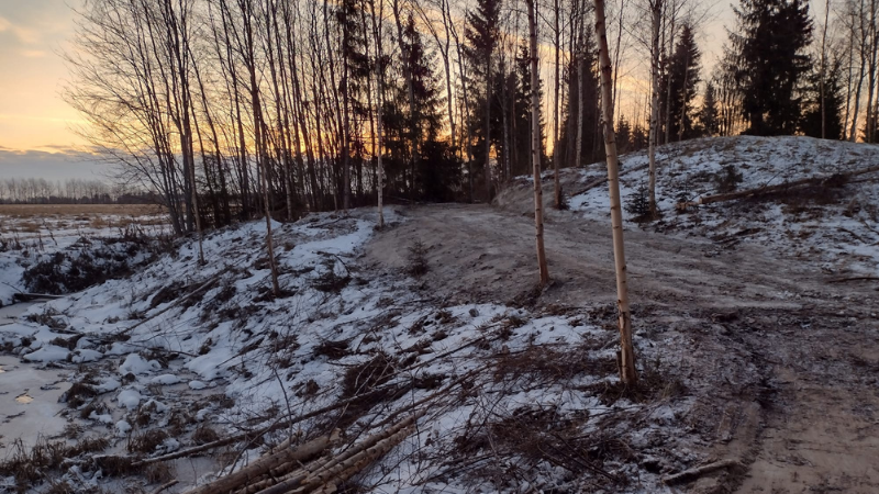 Hiekkainen, kesken oleva kävelyreitti vähälumisen puuston läpi.