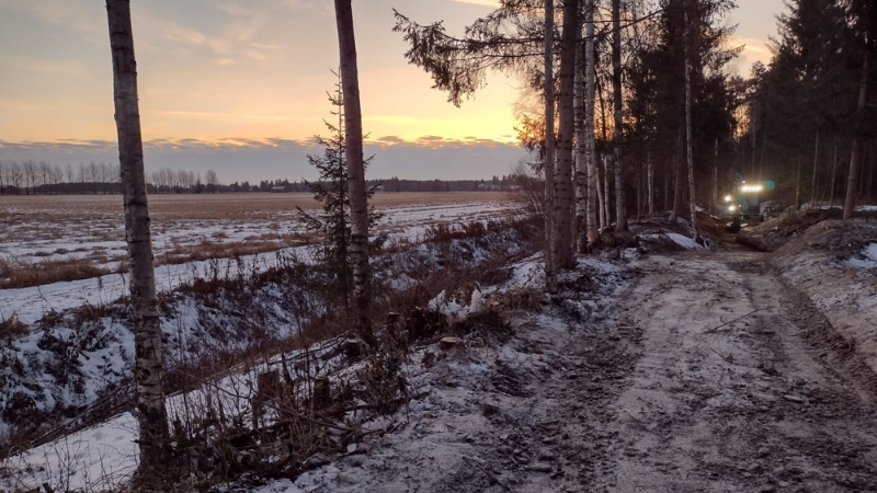 Hiekkainen, kesken oleva kävelyreitti vähälumisen puuston läpi. Taustalla kaivinkone.