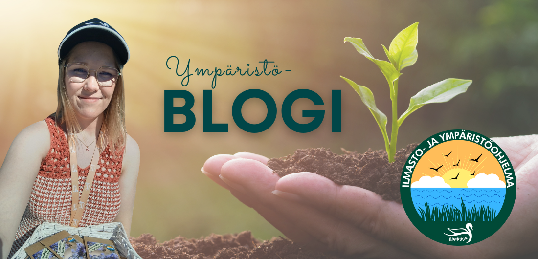 ILMO-hankkeen projektipäällikkö Emma Päkkilä.