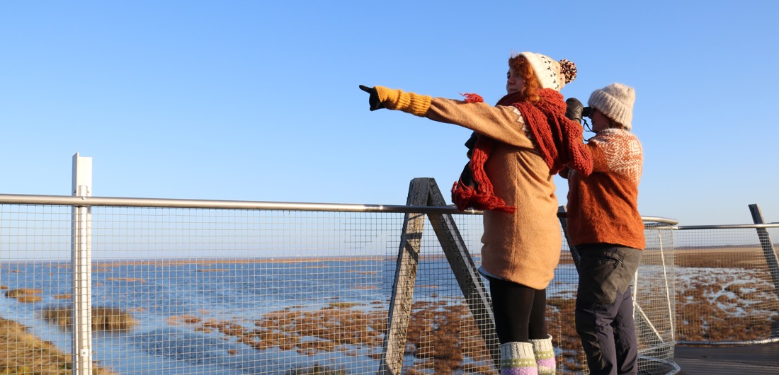 Naiset bongaavat lintuja Liminganlahden lintutornilla villapaidat päällä.