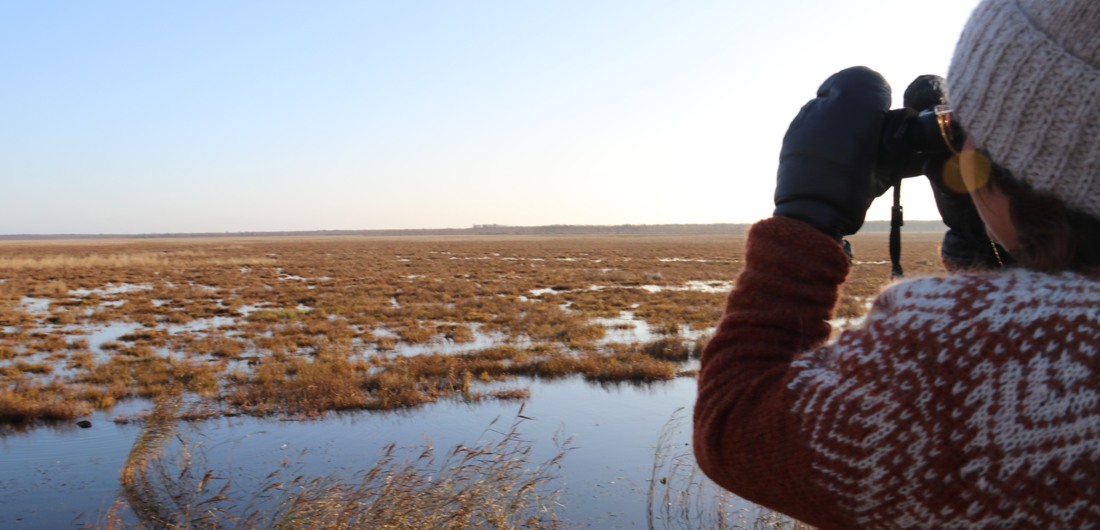 Nainen seisoo selin kameraan ja tähyilee maisemaa kiikareilla.