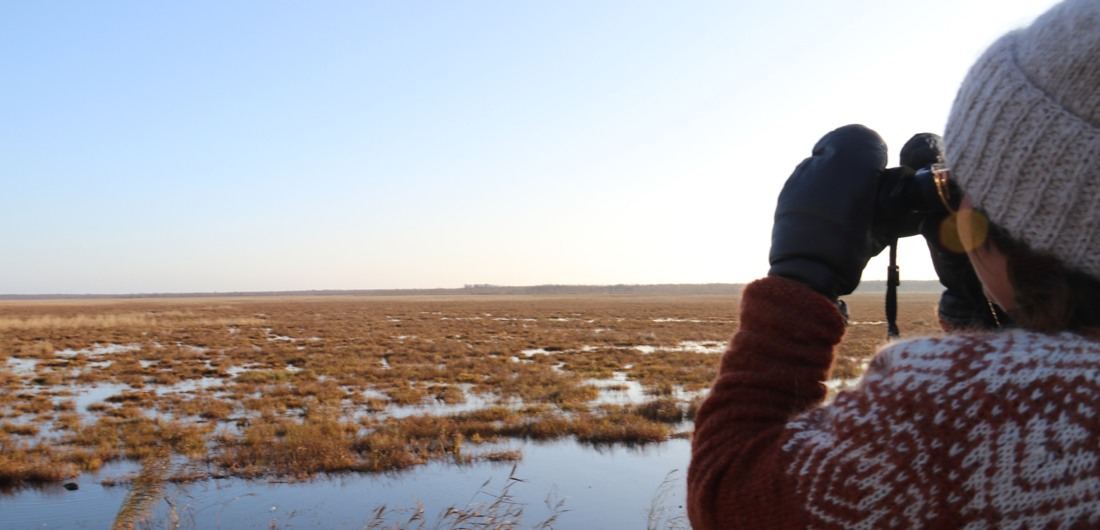 Nainen seisoo selin kameraan ja tähyilee maisemaa kiikareilla.