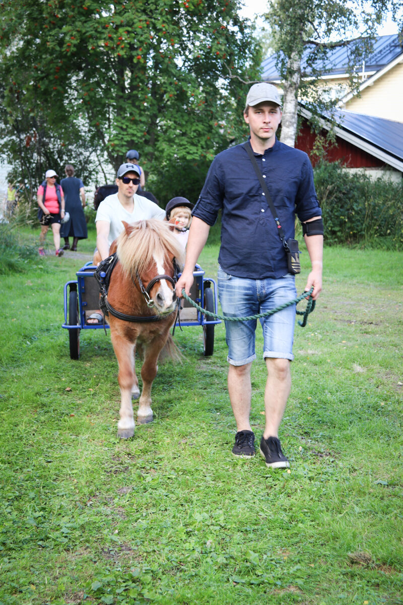 Talutettava poni vetää kärryisää isää ja lasta.