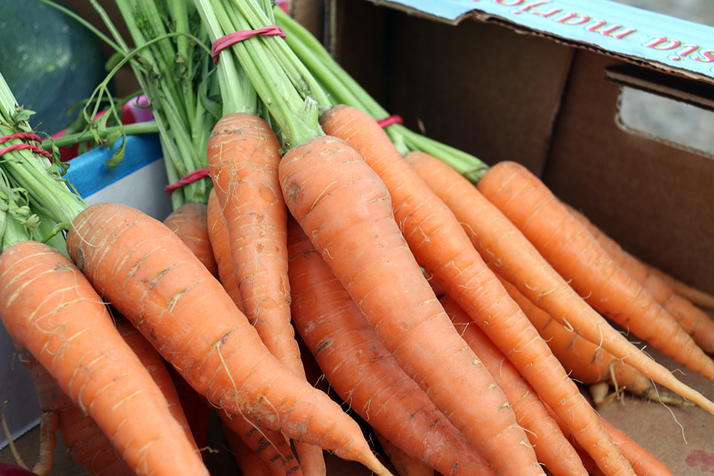 Porkkanoita niputettuna laatikossa.