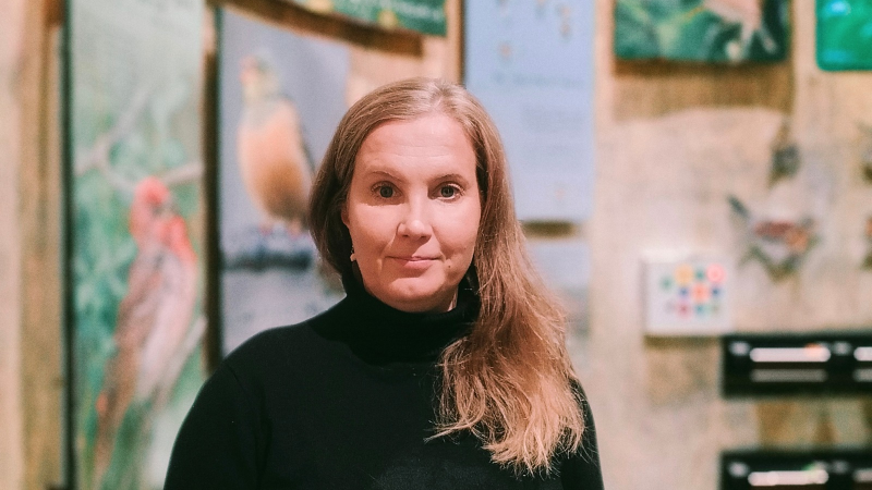 Jaana Liukkonen Liminganlahden luontokeskuksen Lintujen kahdeksan vuodenaikaa -näyttelyssä.