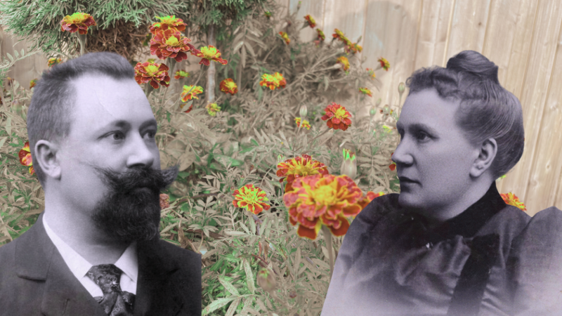 Abraham Ojanperän ja Katri Tuorin kuvat lisättynä samettiruusuja esittävän kuvan päälle.