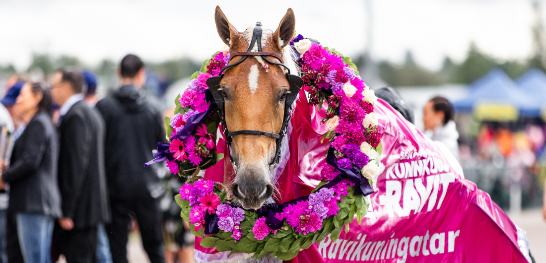 Kuninkuusravien vuoden 2024 ravikuningatar Suven Sametti.