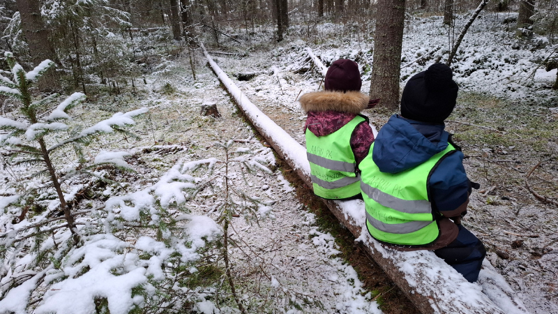 Lapset istuvat lumisessa metsässä puun rungolla.