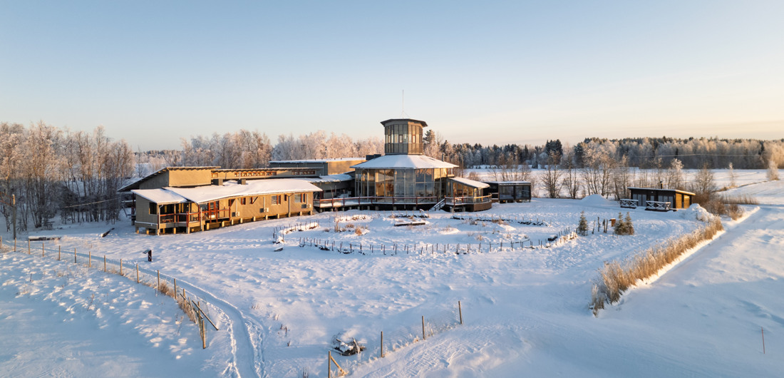 Luontokeskuksen pipapiiri aurinkoisena talvipäivänä.