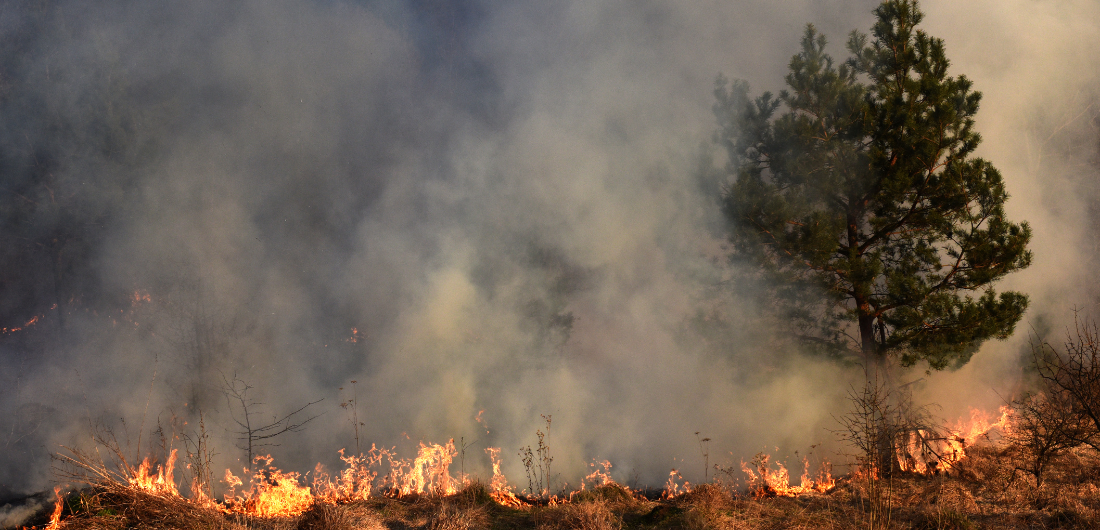 Maastopalo ruohikossa.