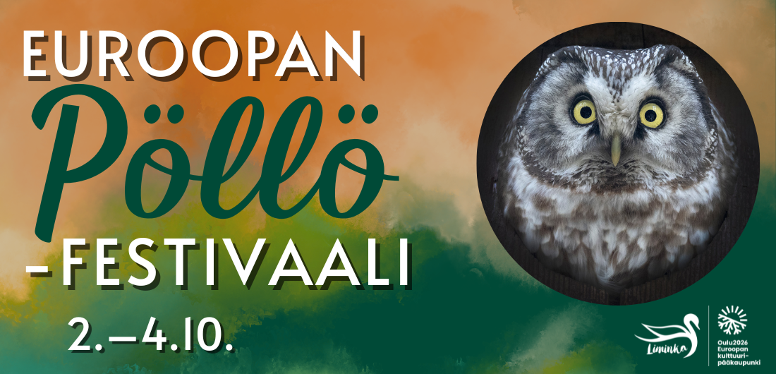 Pöllöfestivaalin mainosgrafiikka.