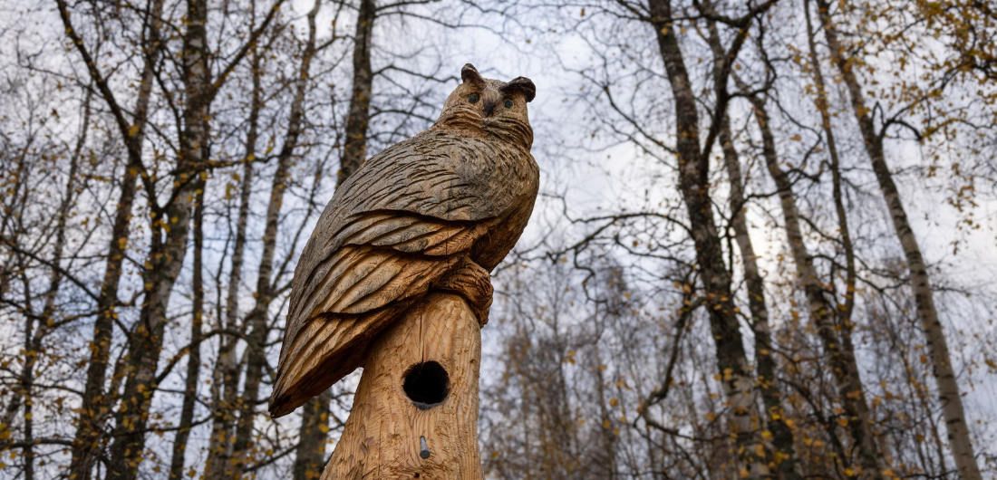 Valokuvassa Heikki Saarelan puusta veistämä huuhkaja syksyistä metsätaustaa vasten.