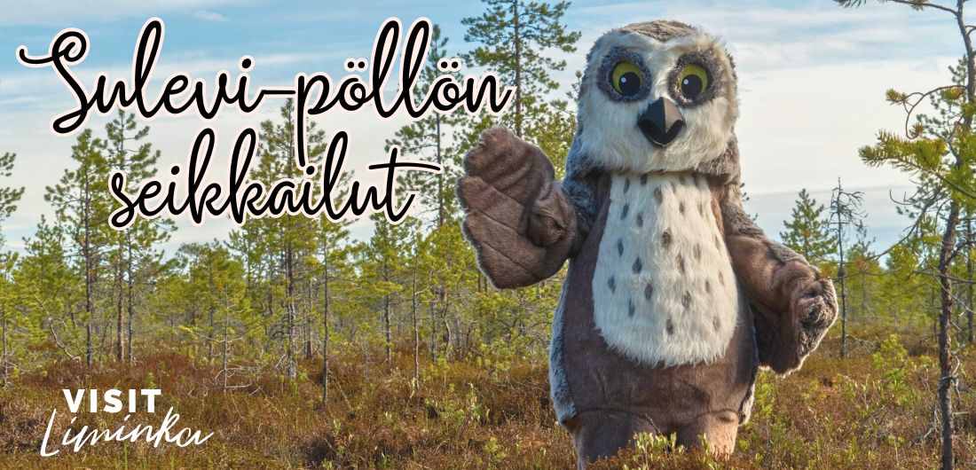 Sulevi-pöllömaskotti seisoo suolla ja vilkuttaa siivellään. Kuvan päällä teksti "Sulevi-pöllön seikkailut".