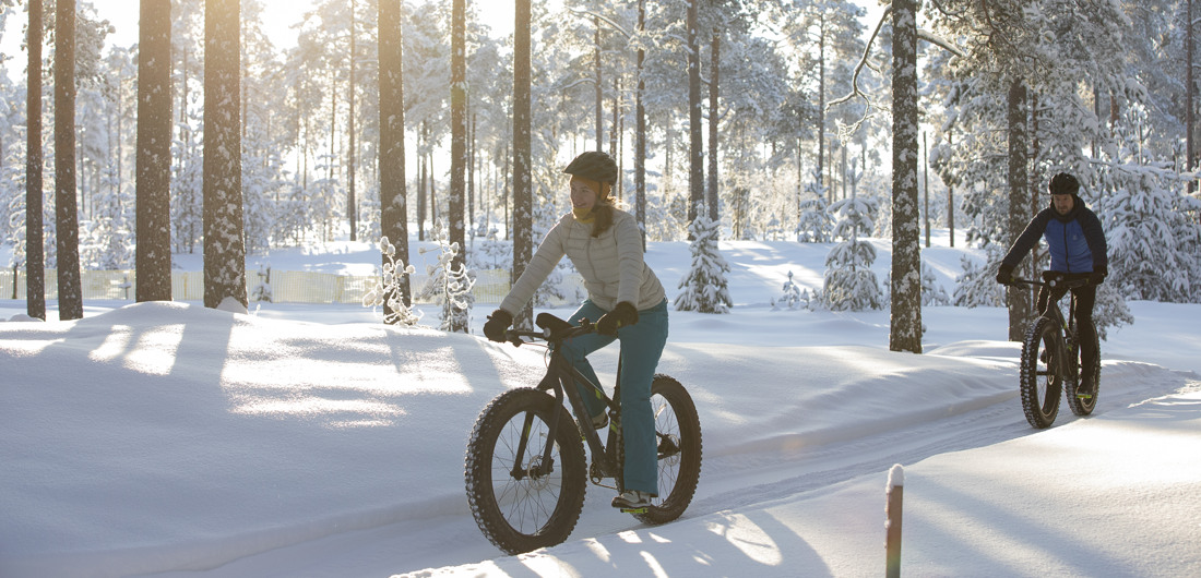 Kaksi pyöräilijää pyöräilemässä metsäreitillä talvella.