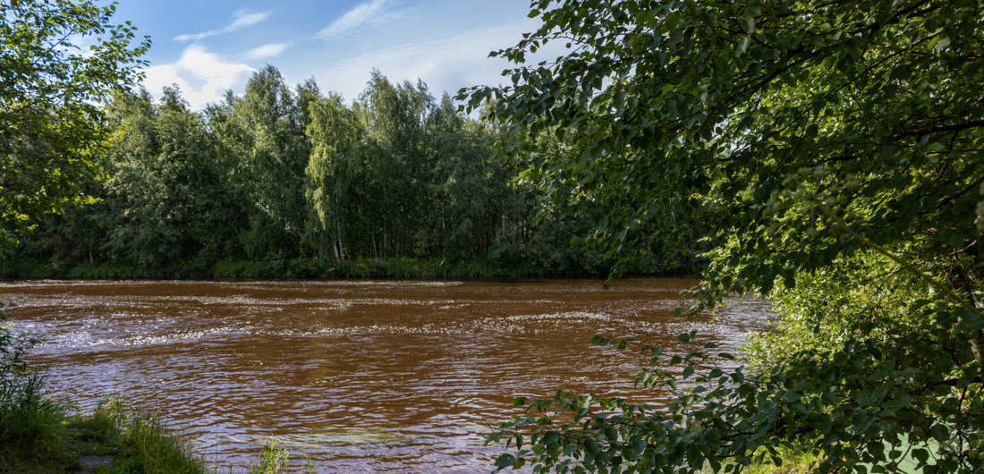 Kesäinen Temmesjoki, jota ympäröivät vehreät puut.