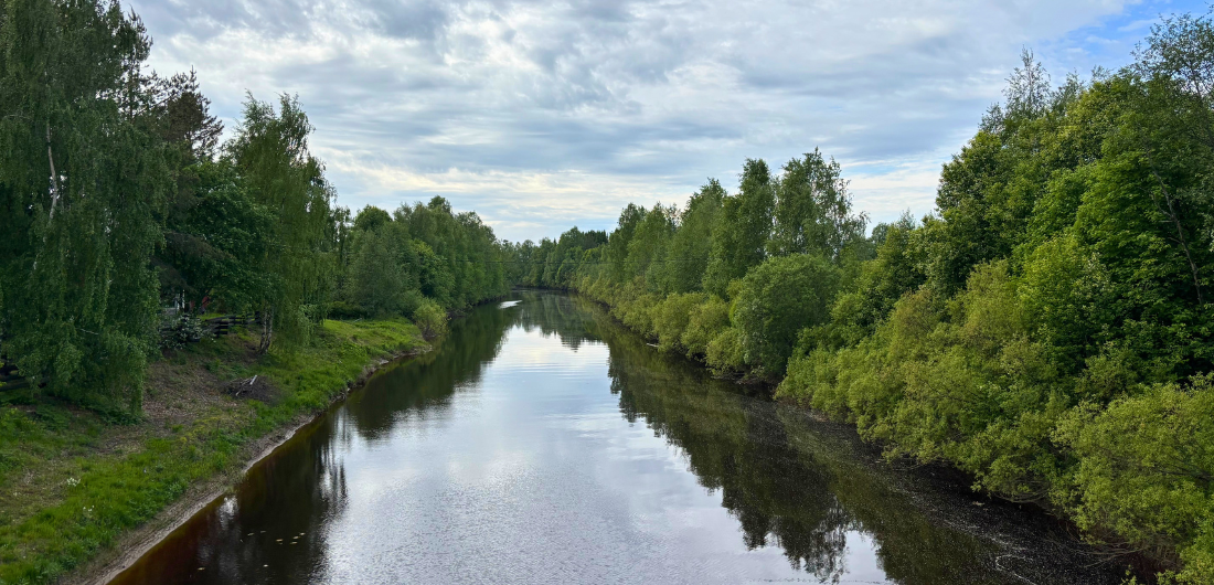 Valokuvassa kesäinen Temmesjoki.