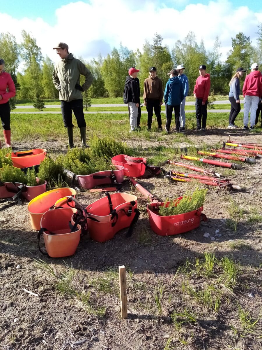 Istututsvälineitä ja puun taimia maassa.