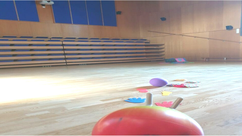 Jumppasali, jossa leluja lattialla.