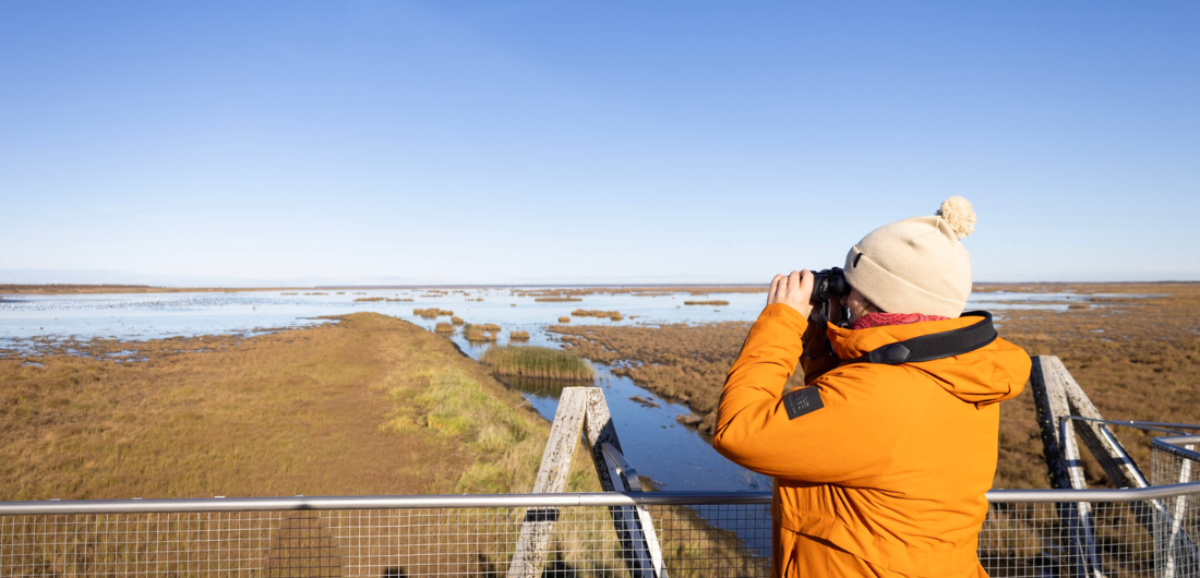 Nainen katsoo kiikareilla Liminganlahdelle lintutornissa aurinkoisessa säässä.
