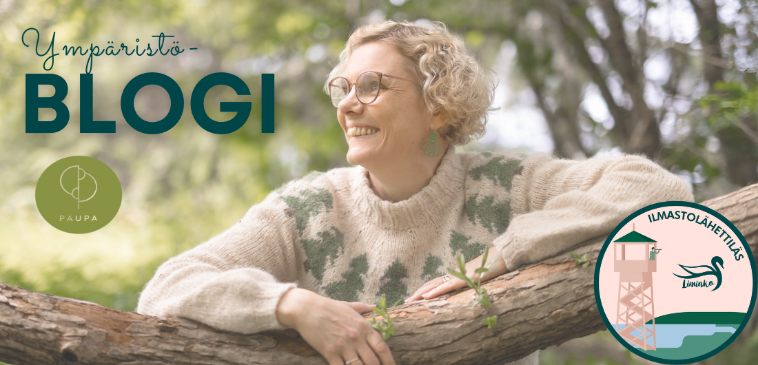 Paupa-yrityksen Pauliina Pakaslahti ja ympäristöblogin grafiikka.