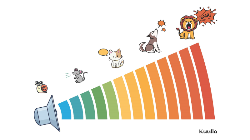 Äänenvoimakkuutta havinnollistavassa kuvakortissa on nouseva voluumitaso, johon on yhdistetty hiljaisessa päässä etana ja sitten hiiri. Keskitasolla ääneen yhdistetään kissa ja kovaääniseen tasoon haukkuva koira sekä karjuva tiikeri.