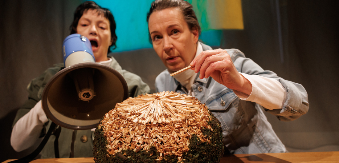 Tervan tie. kuva Minna Hytönen