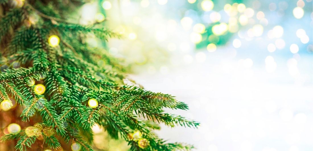 Valot tuikkivat joulukuusen oksilla.