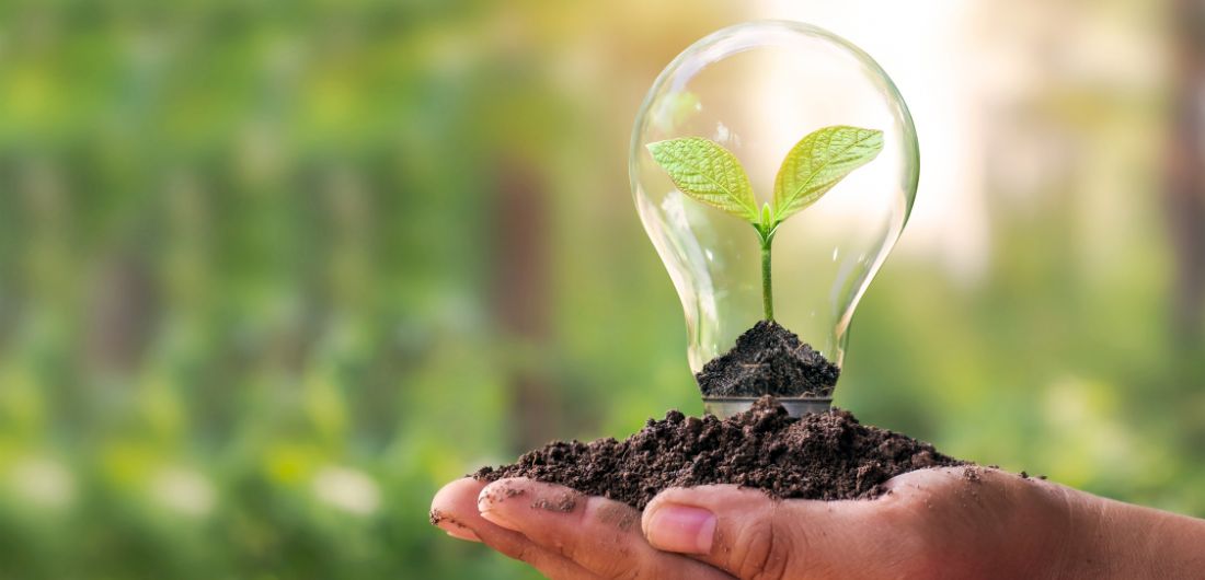 Multaa kämmenellä ja taimi lasikuvussa