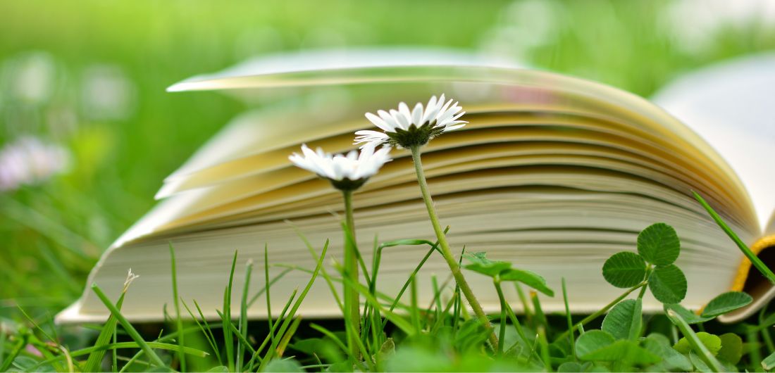 Avattu kirja kesäisellä nurmikolla.