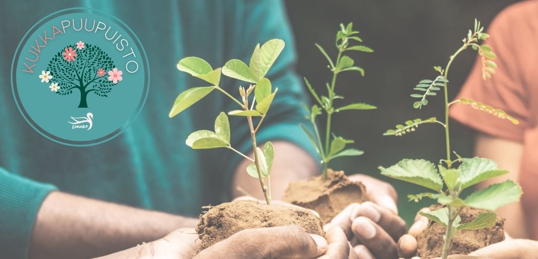 Kädet pitelevät taimia