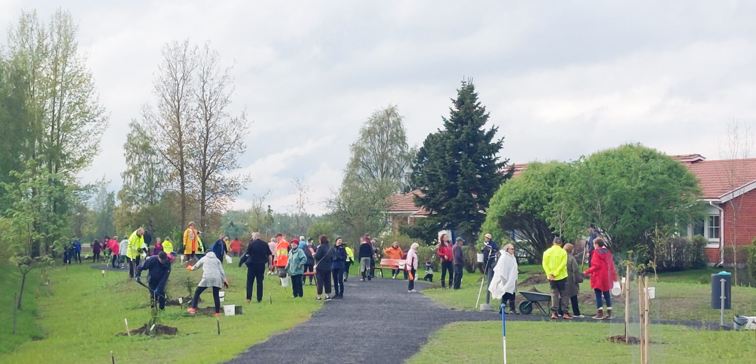 Kukkapuupuistossa istutetaan puita