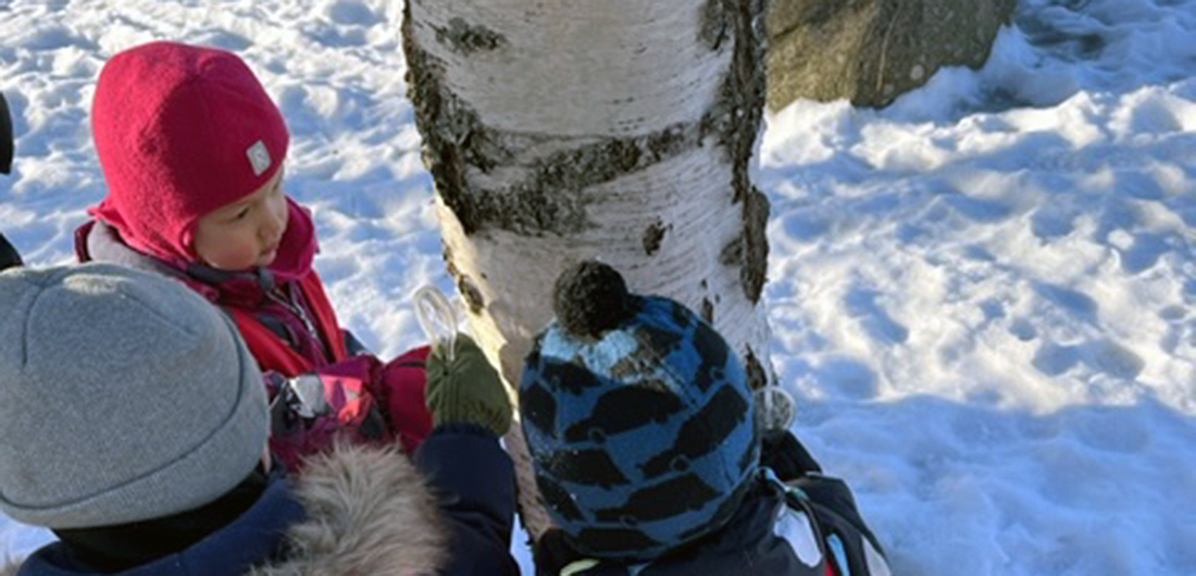 Lapset tutkivat koivunrunkoa.