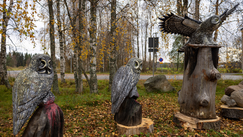 Ryhmä veistettyjä puupöllöjä, jotka istuvat puun kannon päällä.