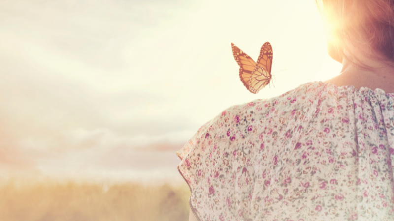 Kuumailmapalloja taivaalla