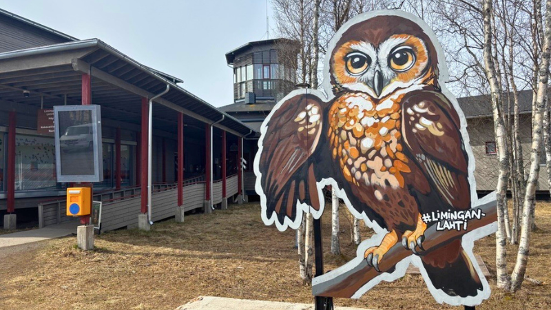 Valokuva Liminganlahden luontokeskuksen edessä olevasta pöllötaideteoksesta.