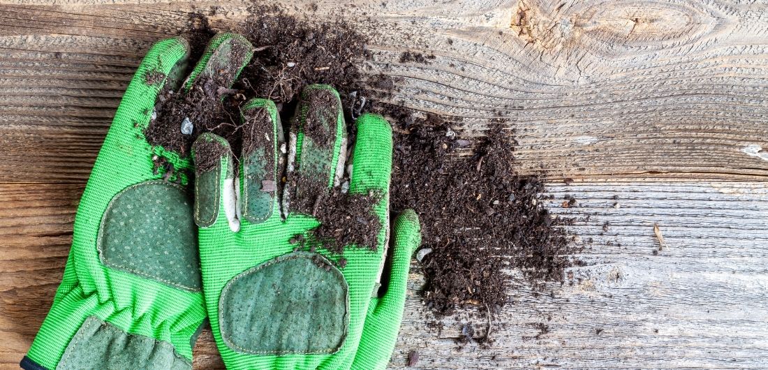Puutarhahanskat multaisella laudalla.