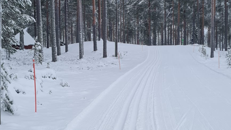Kuva hiihtoladusta ja latu-urasta, joka kulkee metsässä.