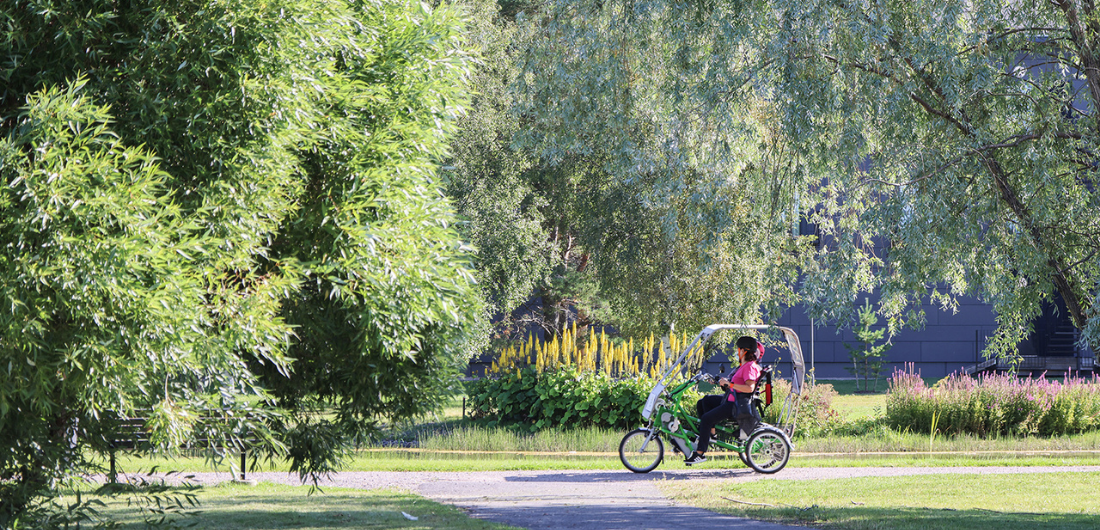 Rientopyöräilyä Keskuspuistossa lammen rannalla.