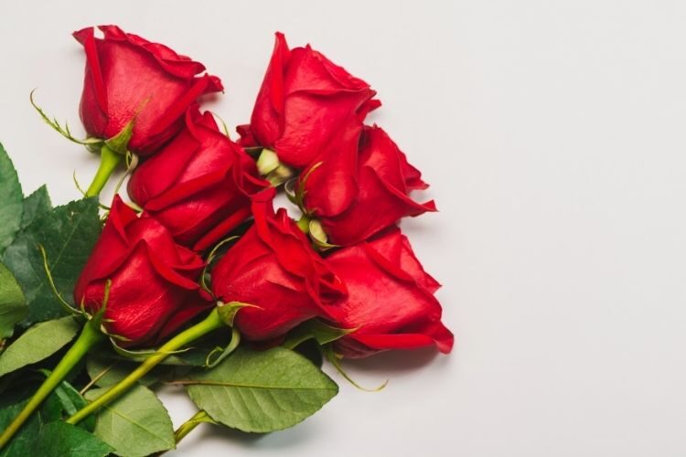 Kimppu punaisia ruusuja pöydällä.